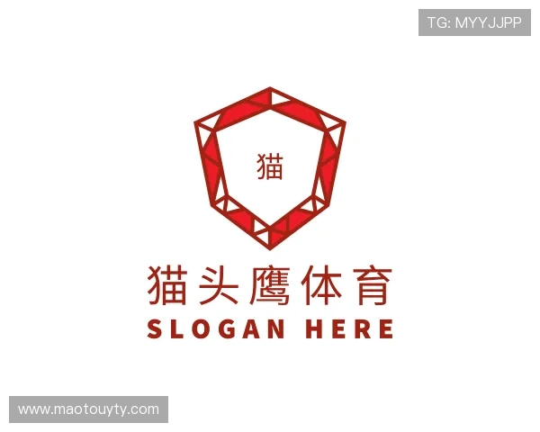 了解猫头鹰体育